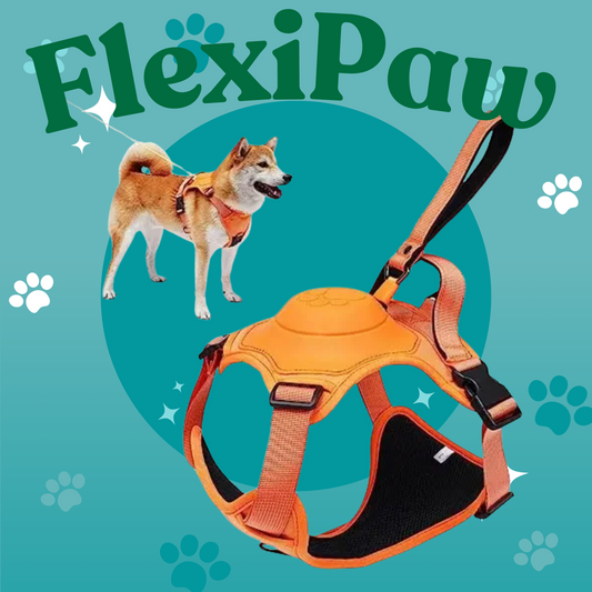 FlexiPaw Control Harness-Leash Combo